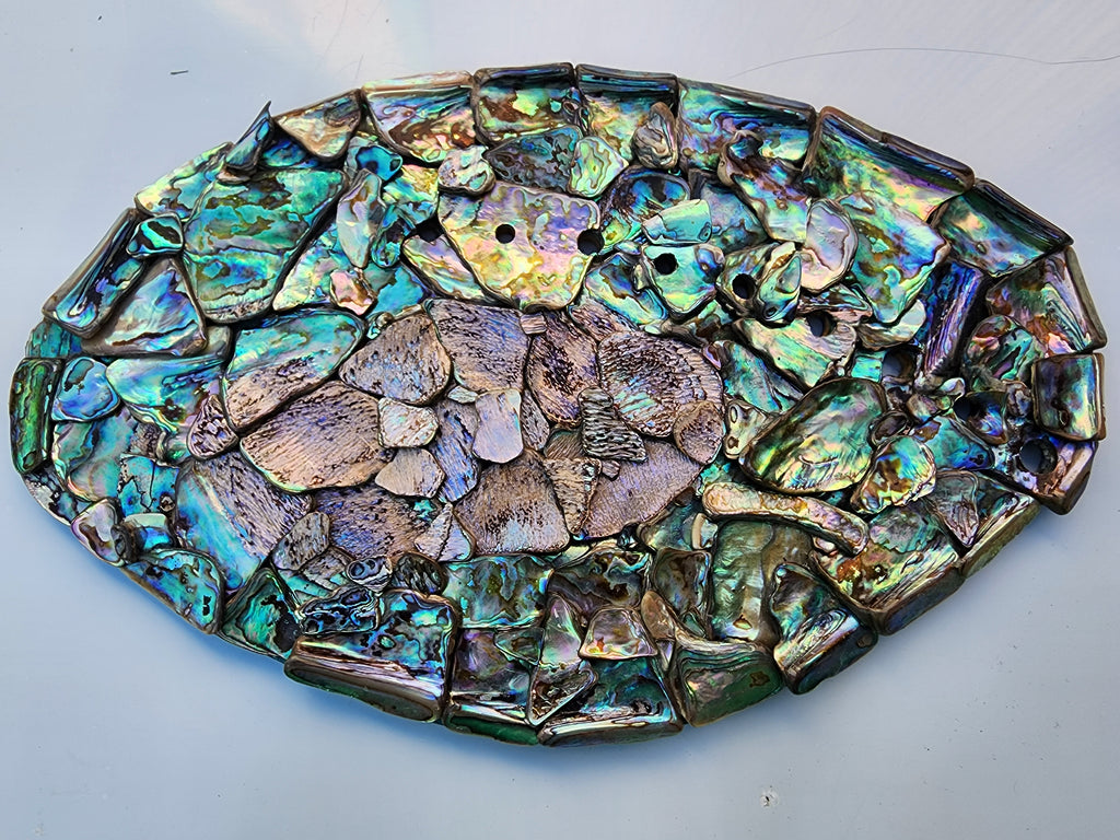 Paua shell