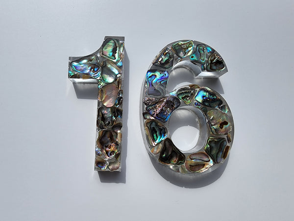 Paua resin numbers